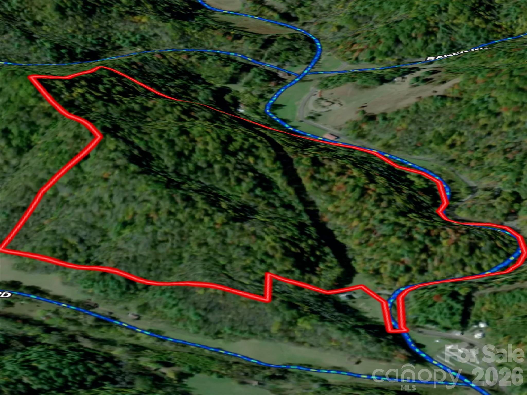 7385 Big Pine Road Marshall, NC 28753 - Photo 20 of 38 a view of a yard with flower and is