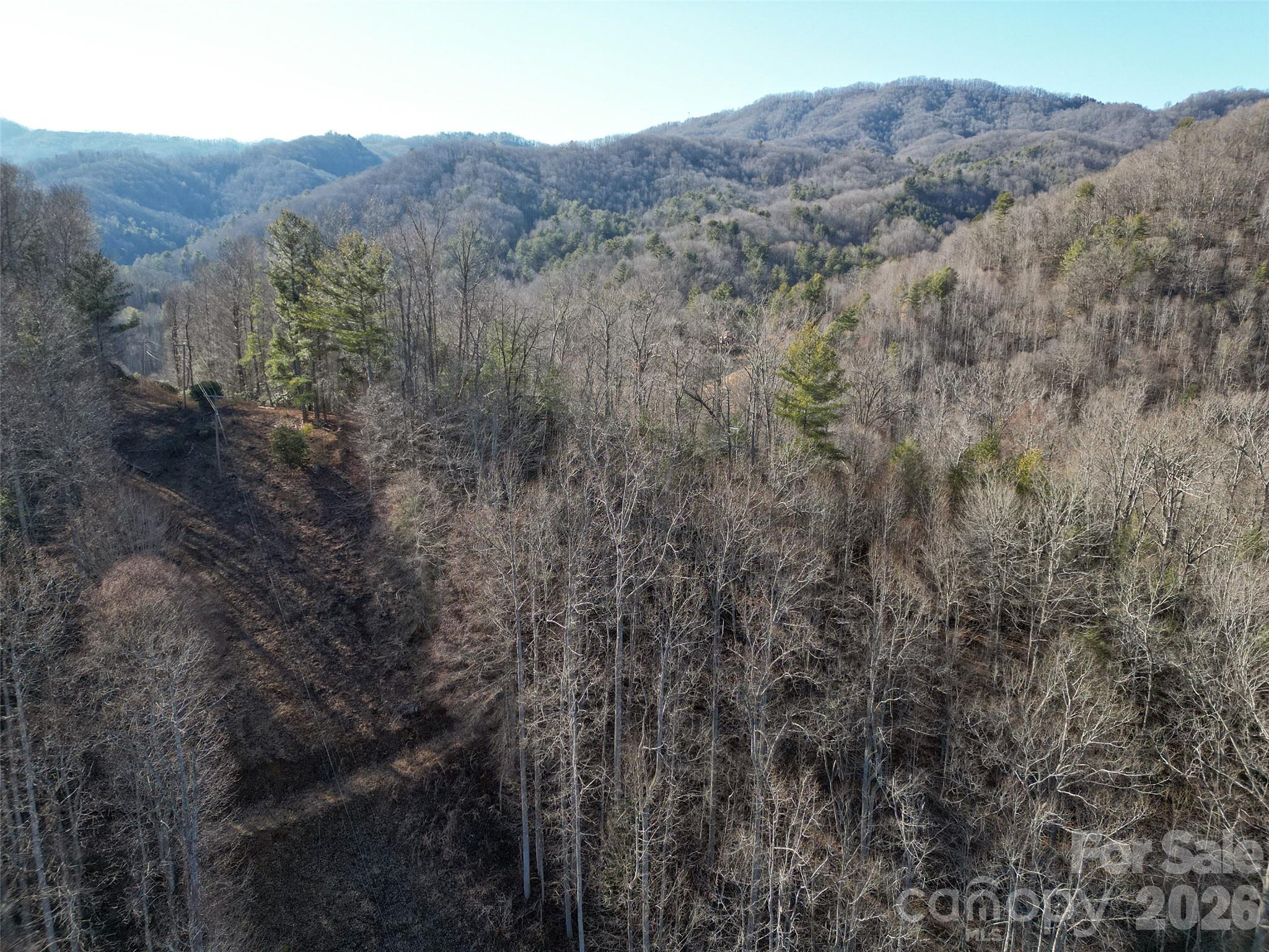7385 Big Pine Road Marshall, NC 28753 - Photo 21 of 38 a view of a mountain in the distance