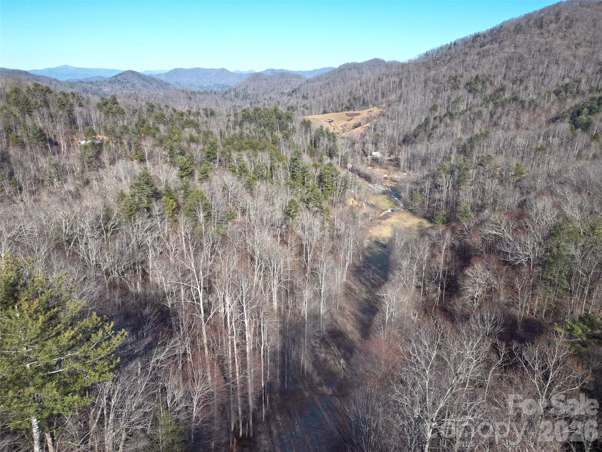 7385 Big Pine Road Marshall, NC 28753 - Photo 22 of 38 a view of a dry field with mountains in the background