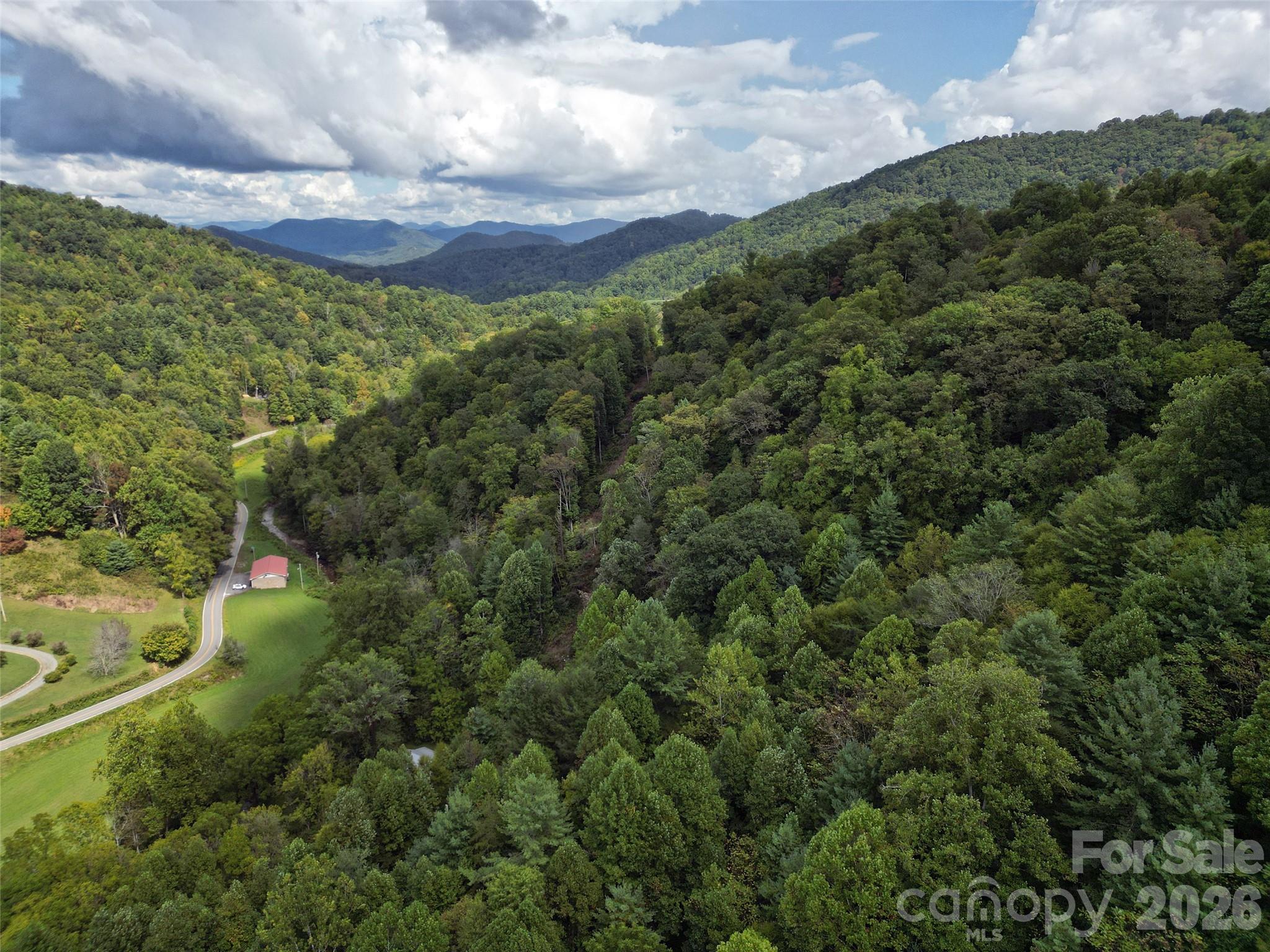 7385 Big Pine Road Marshall, NC 28753 - Photo 23 of 38 a view of a big yard