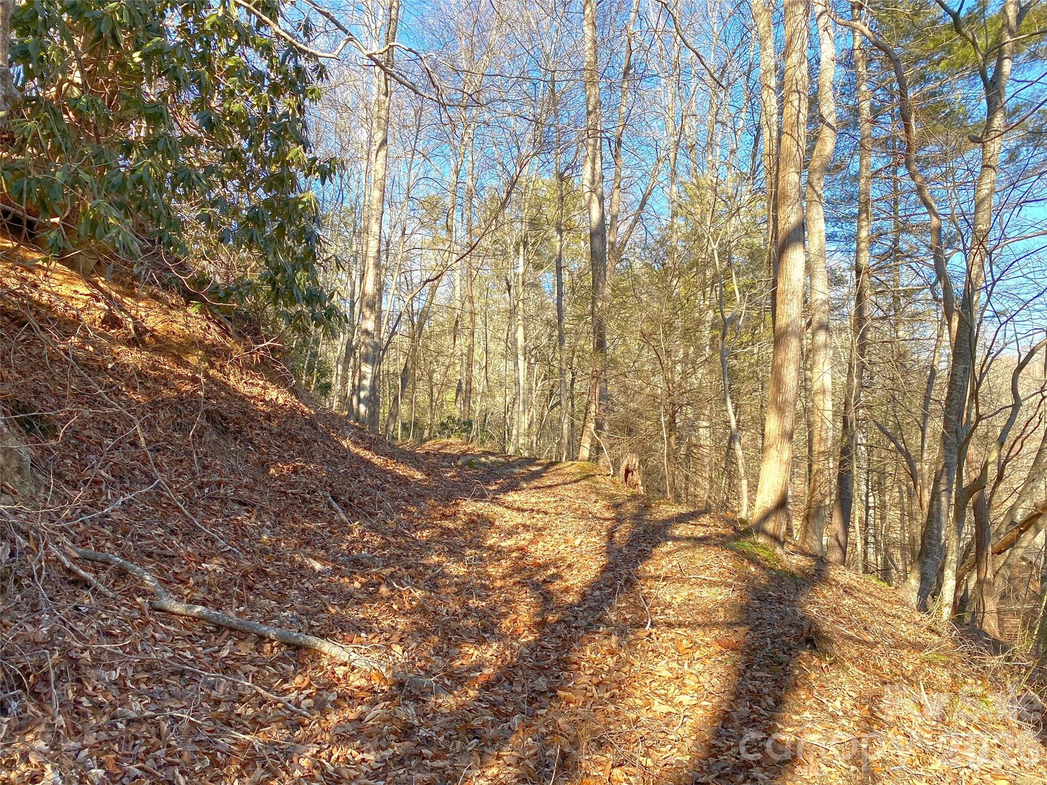 7385 Big Pine Road Marshall, NC 28753 - Photo 27 of 38 a view of yard from a tree