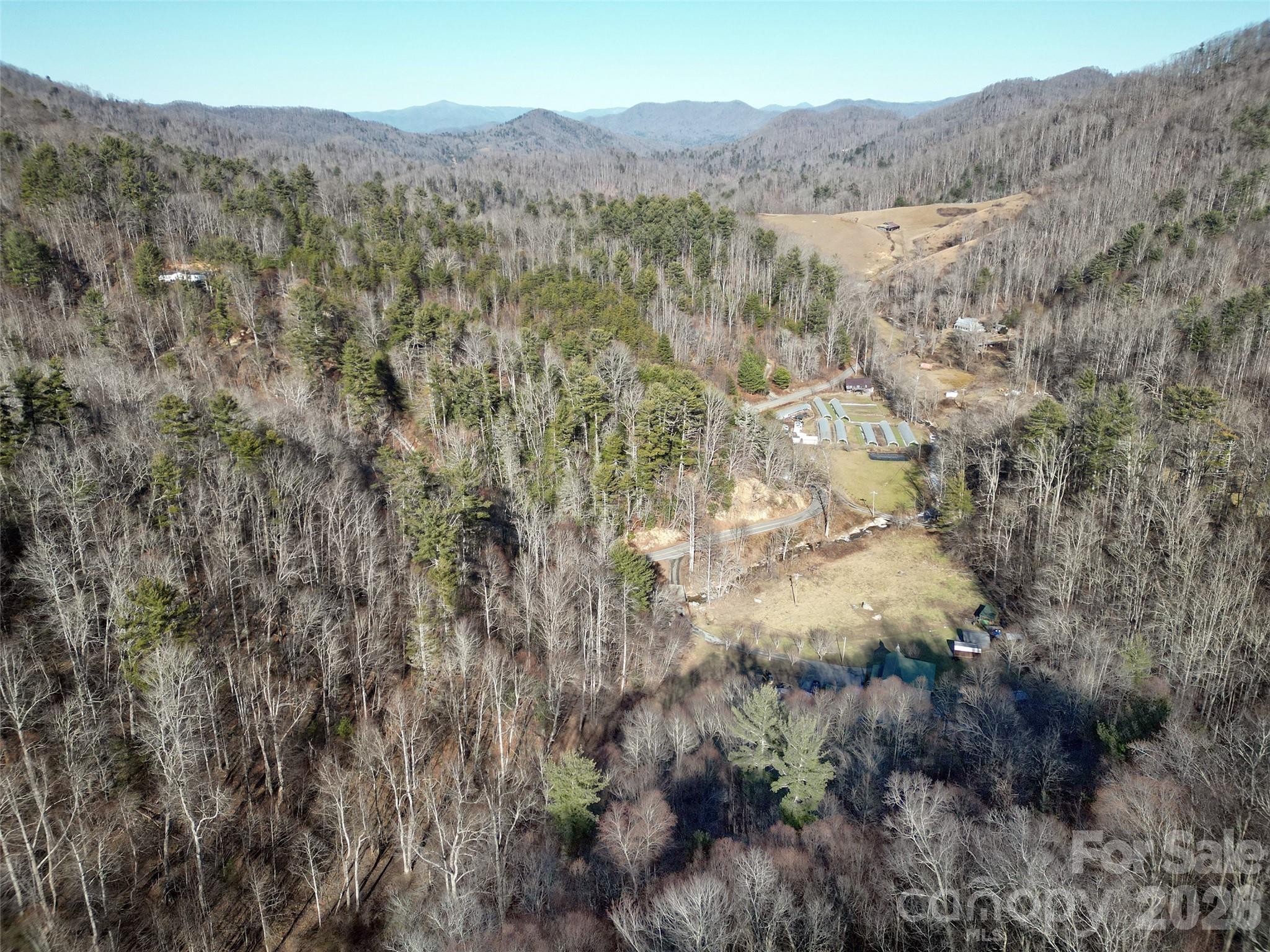 7385 Big Pine Road Marshall, NC 28753 - Photo 28 of 38 a view of a forest with mountains in the background