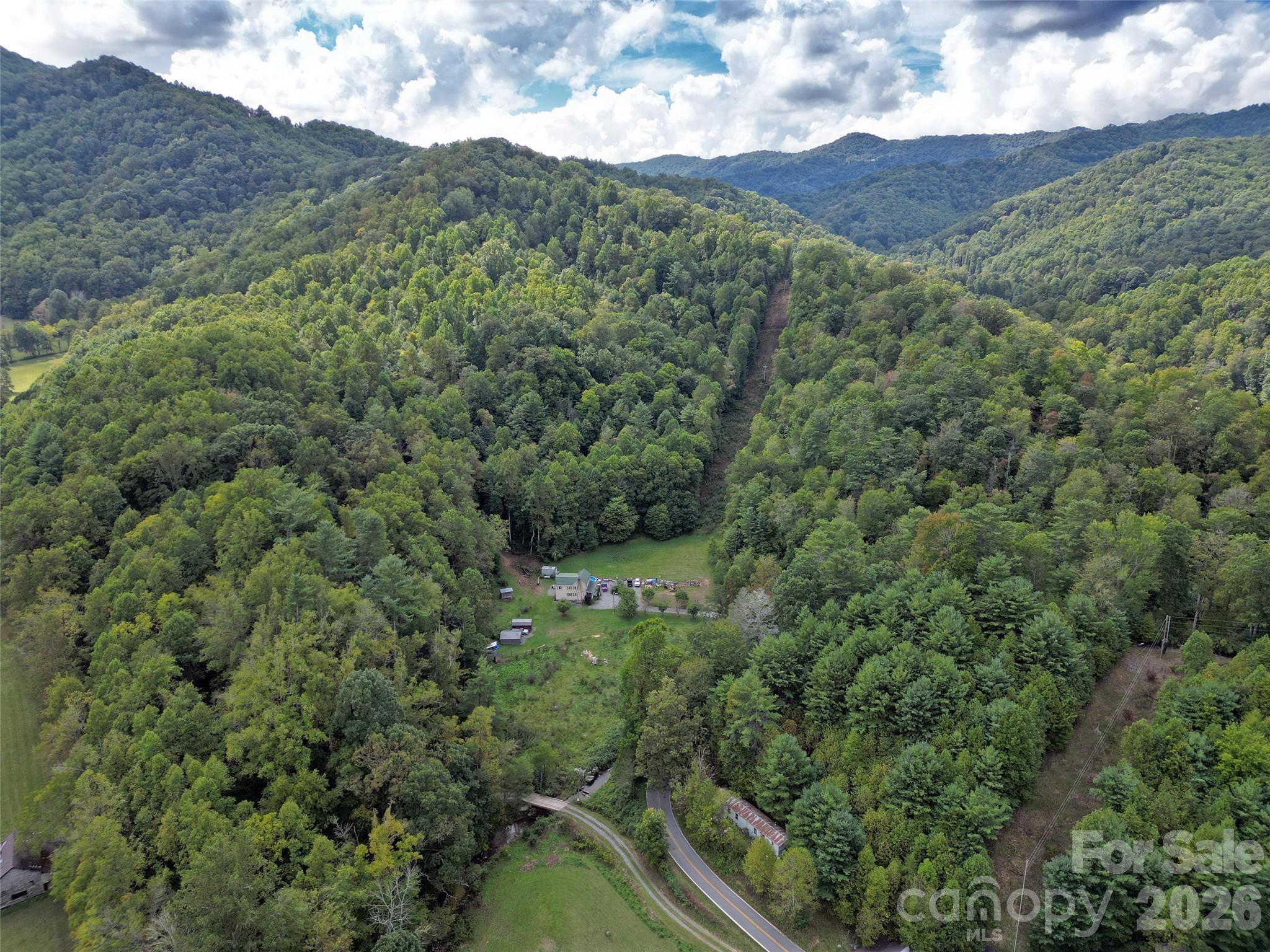 7385 Big Pine Road Marshall, NC 28753 - Photo 29 of 38 a view of a lush green forest with a mountain