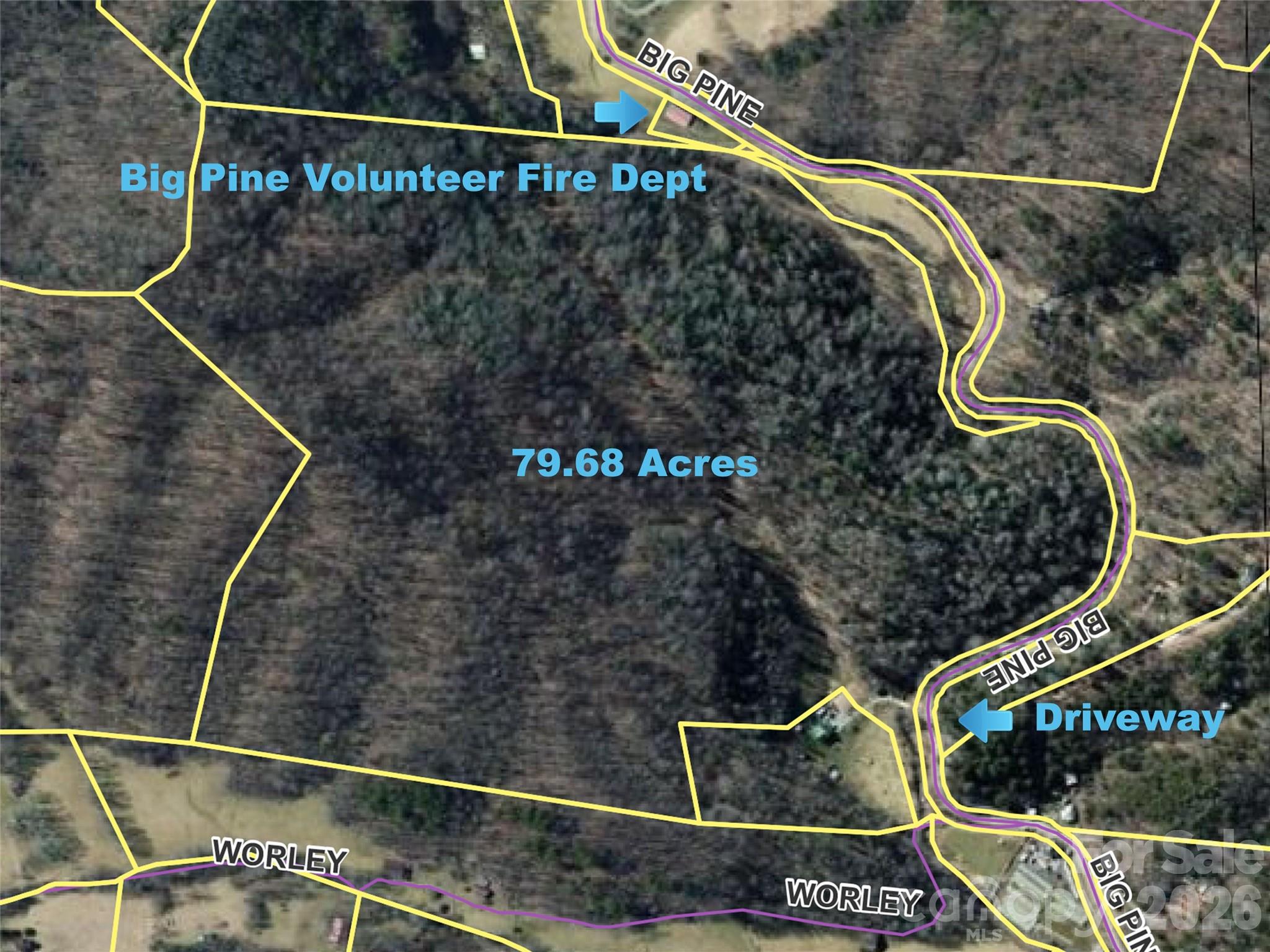 7385 Big Pine Road Marshall, NC 28753 - Photo 3 of 38