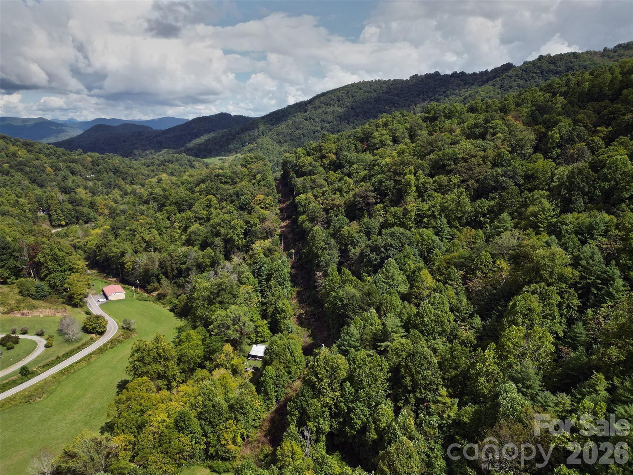 7385 Big Pine Road Marshall, NC 28753 - Photo 6 of 38 a view of a city with a mountain