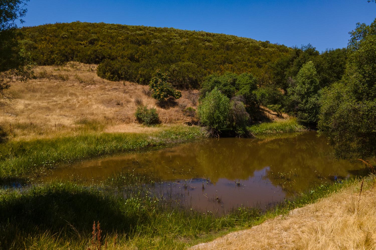 0 Stony Creek Road Ione, CA 95640 - Photo 22 of 70