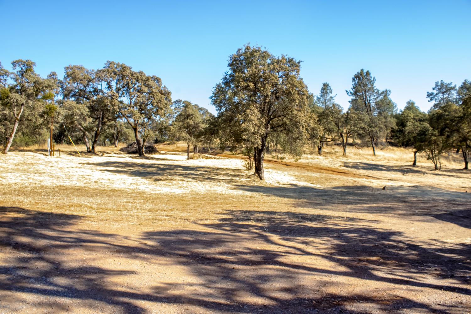 1240 Hidden Ridge Trail Pilot Hill, CA 95664 - Photo 5 of 31