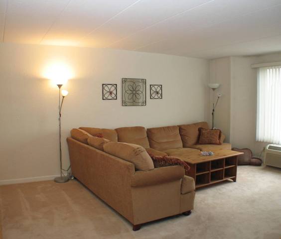1 Renaissance Place, Unit 414 Palatine, IL 60067 - Photo 4 of 7