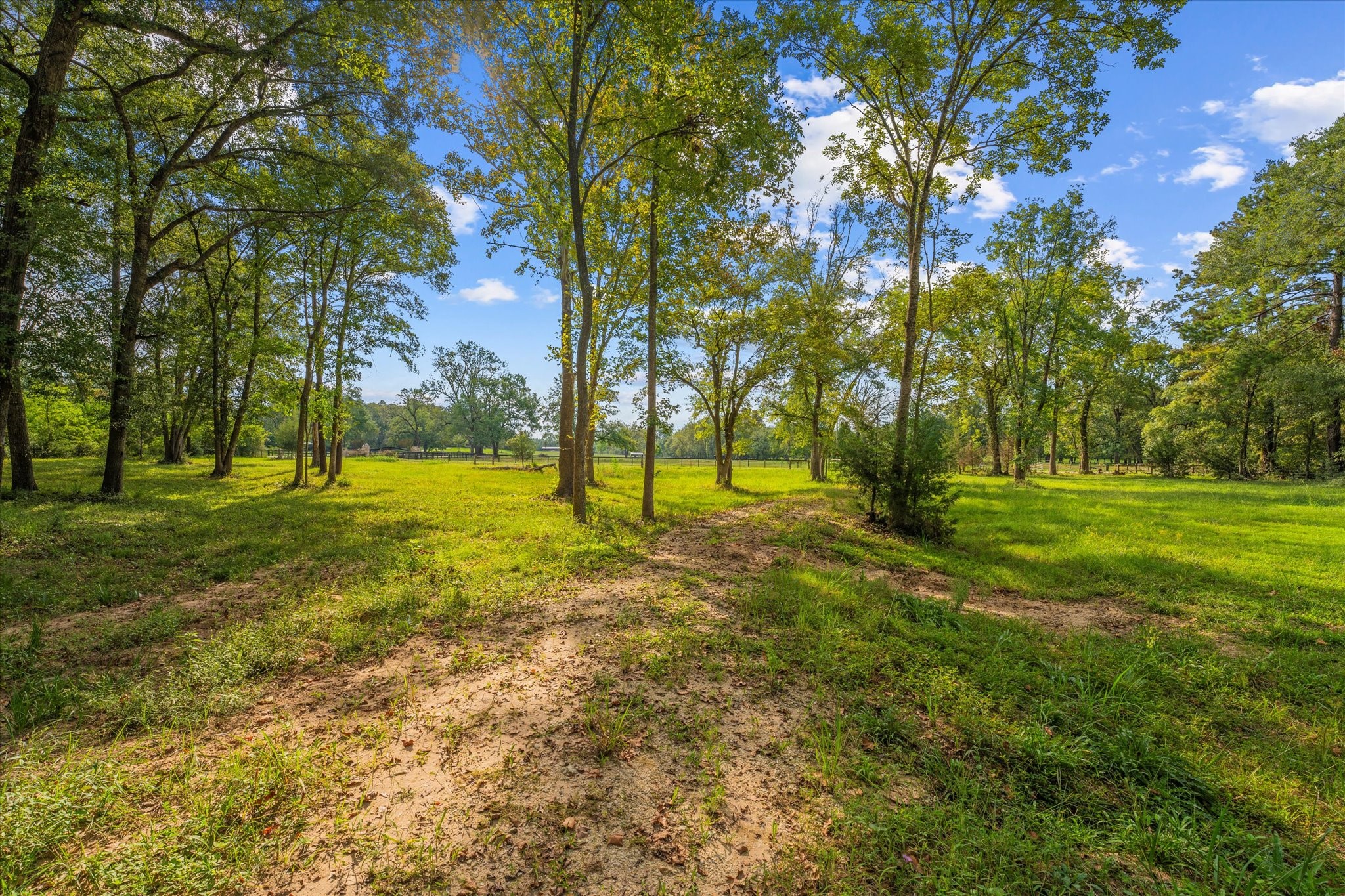 43 Stewart Road New Waverly, TX 77358 - Photo 11 of 21