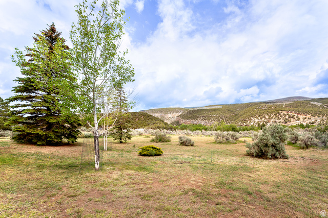 7343 North Sawtooth Cv Road Vernal, UT 84078 - Photo 60 of 64 Expansive outdoor area featuring mature evergreen trees and aspens, open grassy terrain, and distant rolling hills