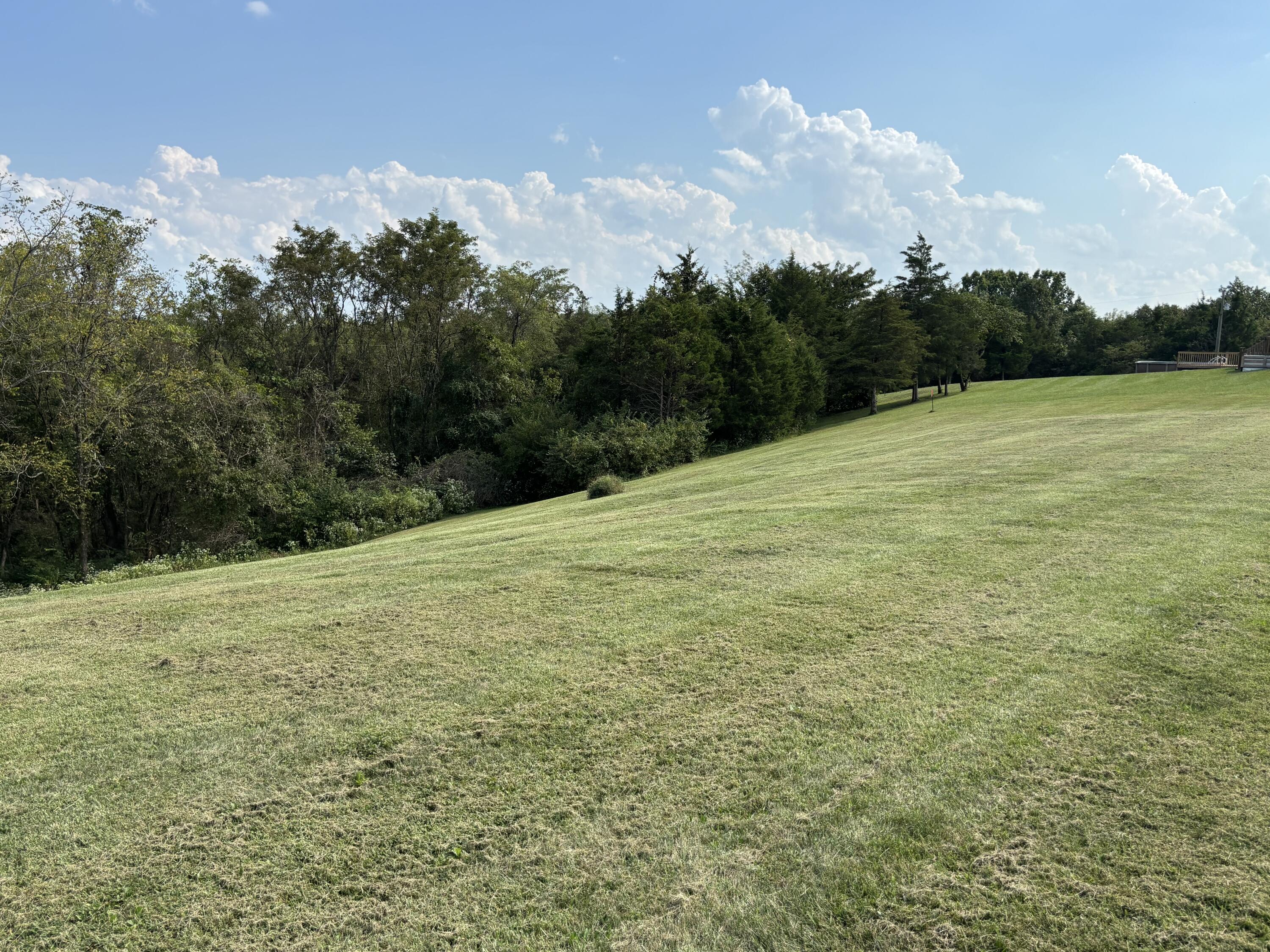 3926 Hogg Ridge Road Williamstown, KY 41097 - Photo 77 of 92 IMG_9117