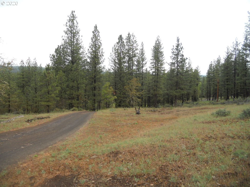 134 Jenkins Creek Road Goldendale, WA 98620 - Photo 2 of 22 Gallery Image 2
