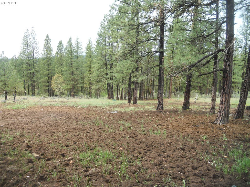 134 Jenkins Creek Road Goldendale, WA 98620 - Photo 22 of 22 Gallery Image 22