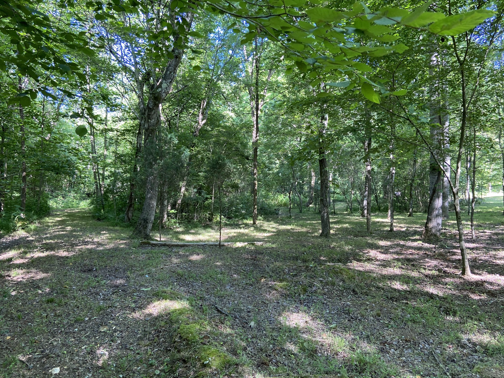 512 Slippery Road Hohenwald, TN 38462 - Photo 1 of 15 Gallery Image 1