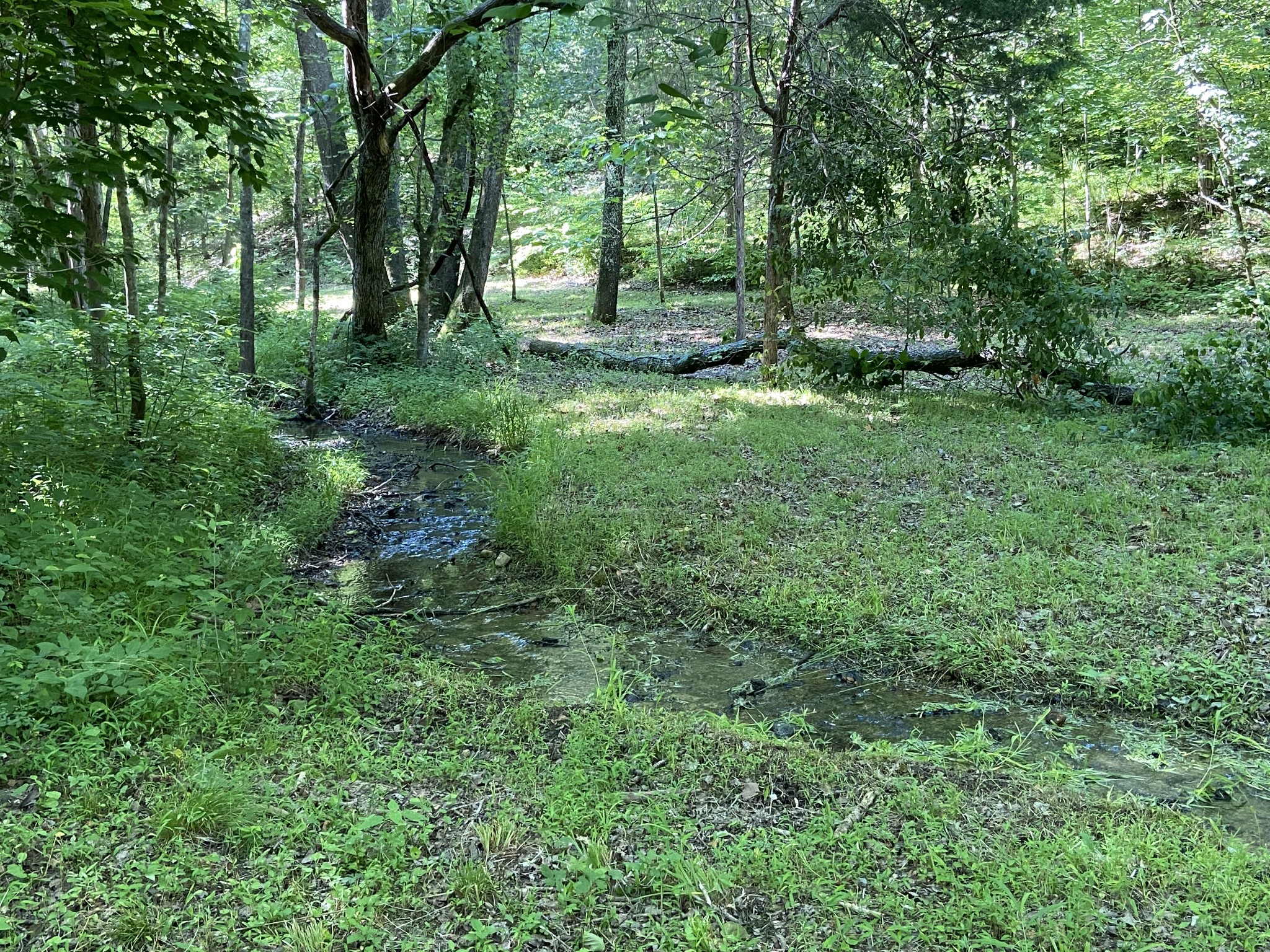 512 Slippery Road Hohenwald, TN 38462 - Photo 10 of 15 Gallery Image 10