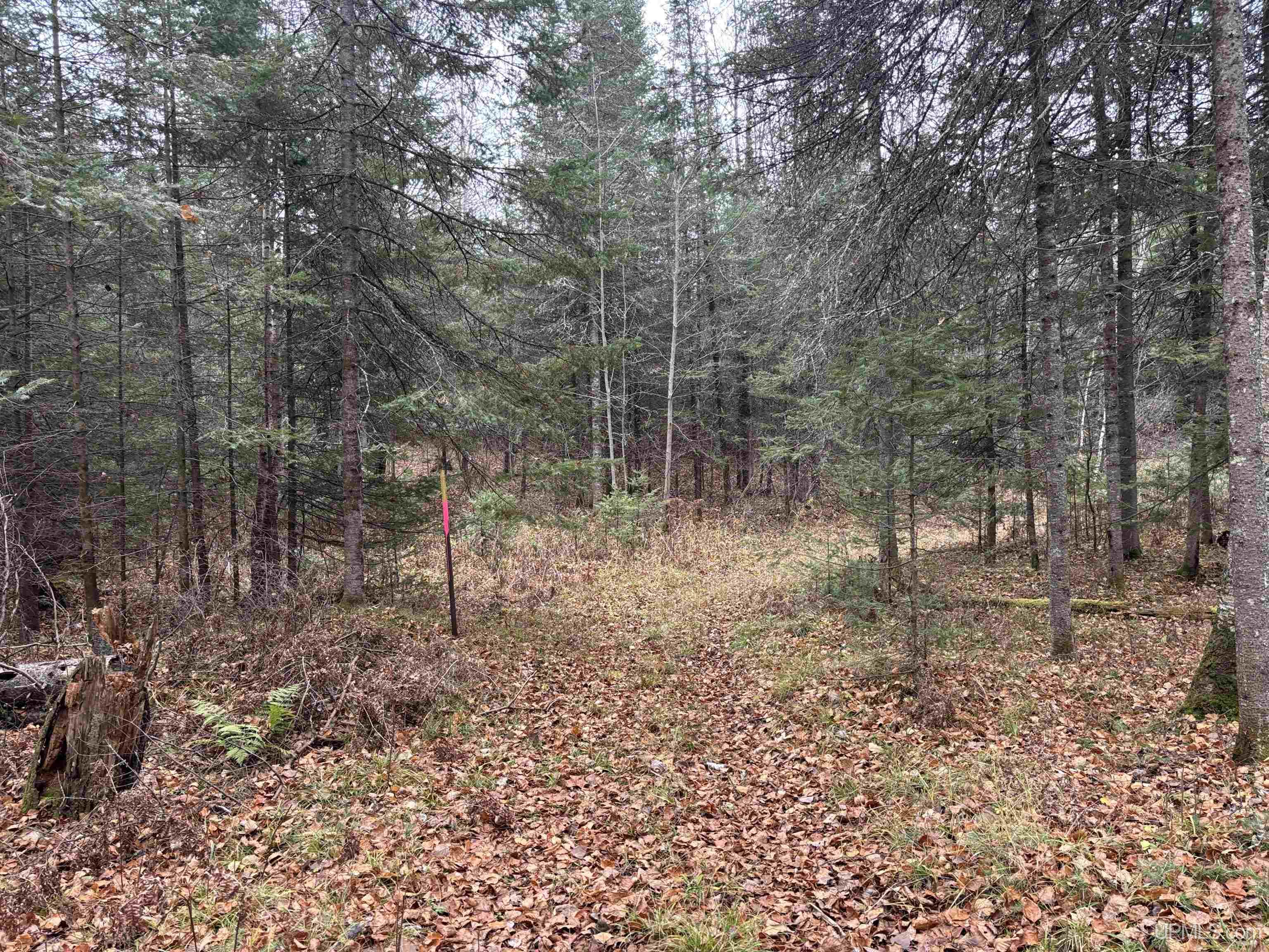 4682 W Lake Of The Falls Road Mercer, WI 54547 - Photo 59 of 63 Gallery Image 59