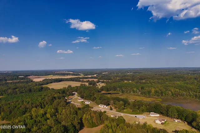 a view of a tree with a yard