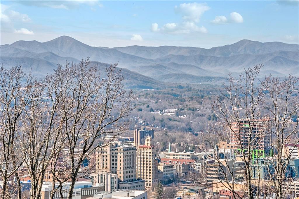 11 Cogswood Road Asheville, NC 28804 - Photo 2 of 24