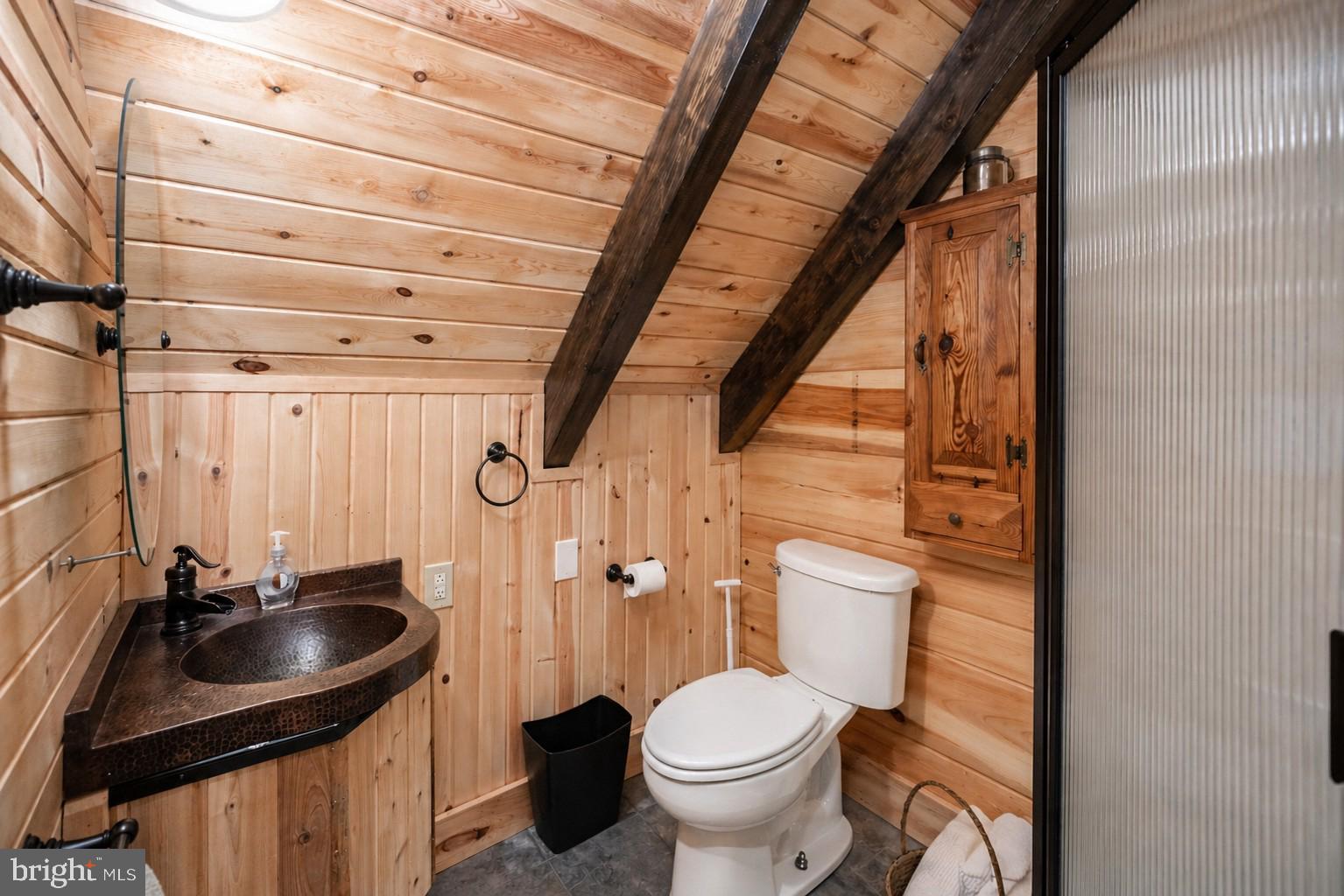 4502 Hileman Road Bruceton Mills, WV 26525 - Photo 37 of 62 a bathroom with a sink a toilet and a mirror