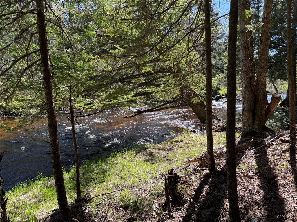 Lot # Meekerville Road Forestport, NY 13338 - Photo 29 of 45