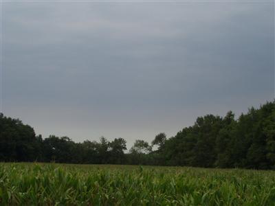Schweitzer Road Centreville, MI 49032 - Photo 1 of 2 Primary Photo