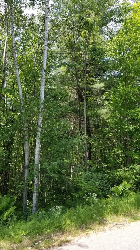 . Callahan Road Burke, NY 12917 - Photo 4 of 15