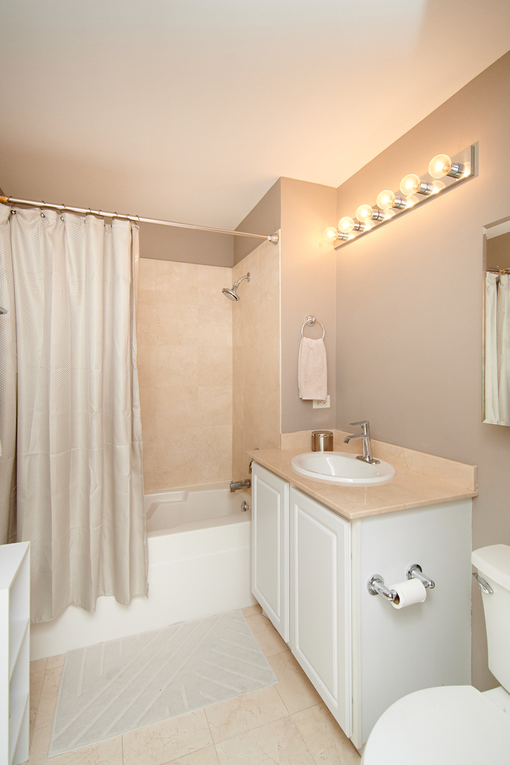210 South Desplaines Street, Unit 1003 Chicago, IL 60661 - Photo 15 of 27 a bathroom with a sink a toilet and shower