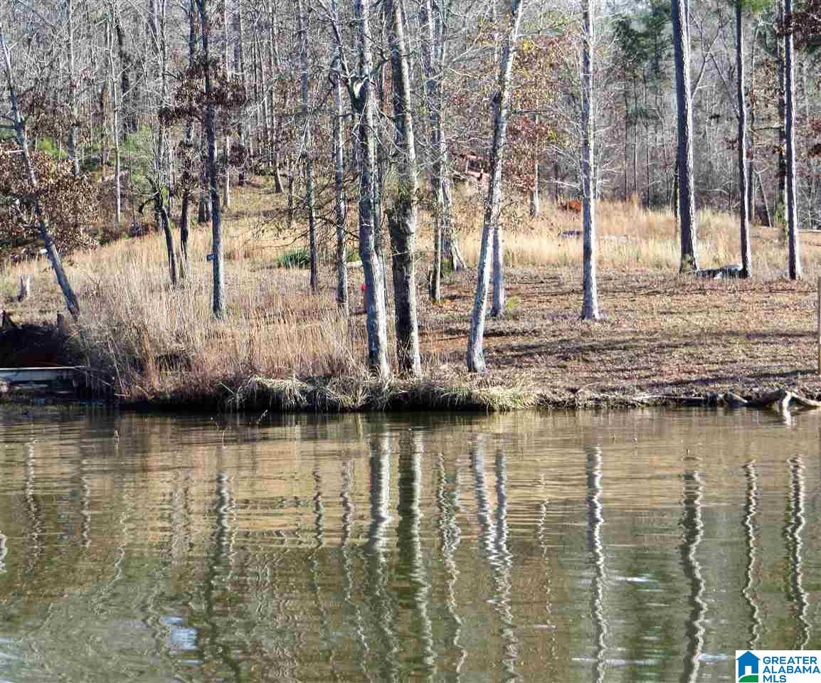 Lot 9 Eagle Mountain Road, Unit 9 Alexander City, AL 35010 - Photo 4 of 13