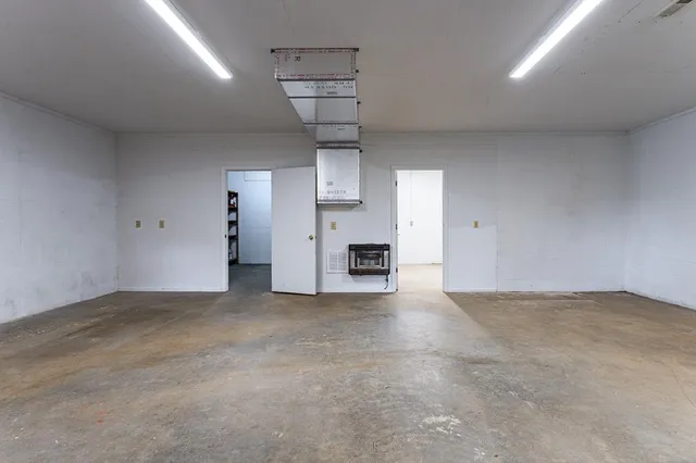 a view of a field with plants and trees