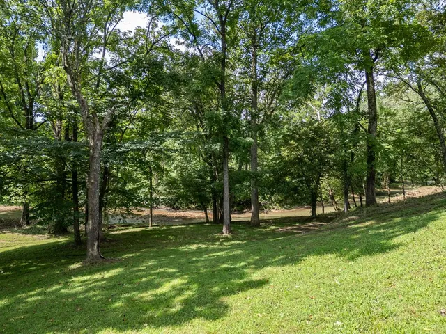 $725,000 | 96 W Road, Warne, NC 28909