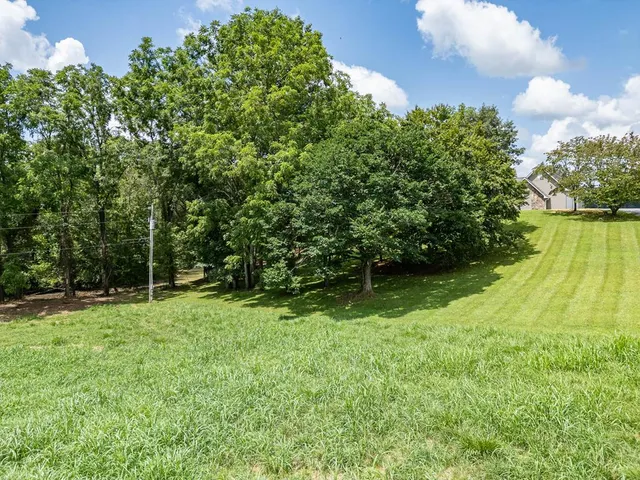 $725,000 | 96 W Road, Warne, NC 28909