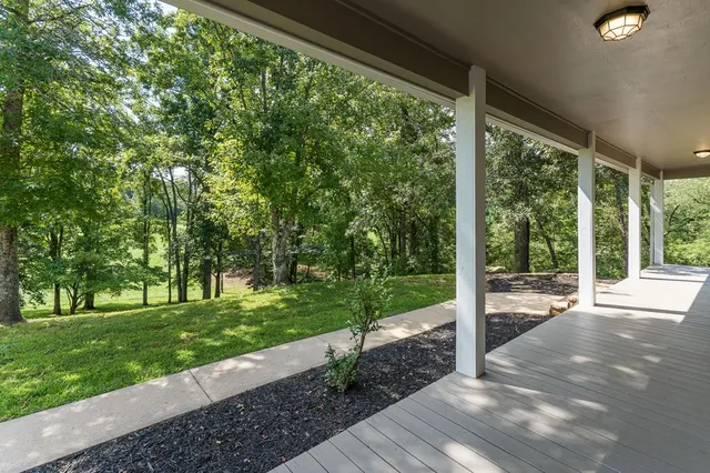a view of backyard with green space