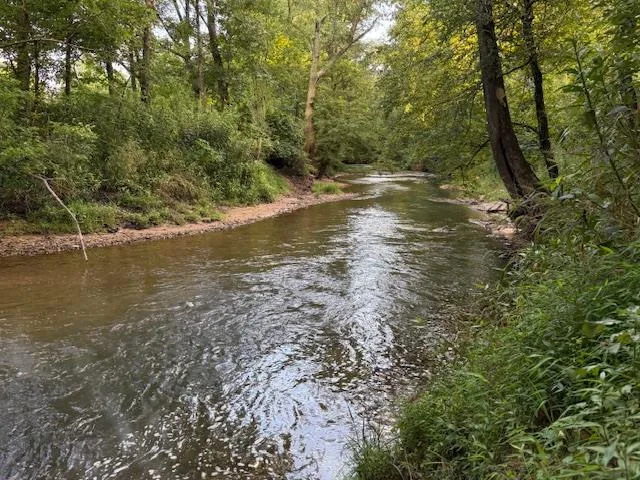 $725,000 | 96 W Road, Warne, NC 28909