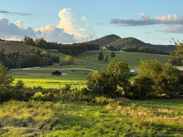 $725,000 | 96 W Road, Warne, NC 28909