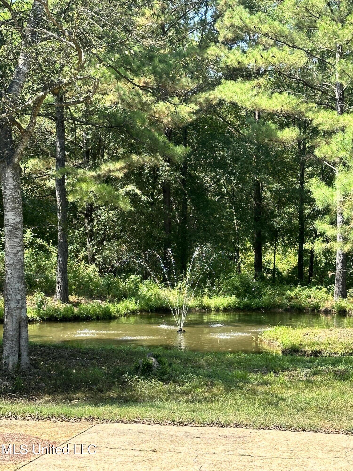 282 Highway 332 Grenada, MS 38901 - Photo 24 of 31 IMG_7753