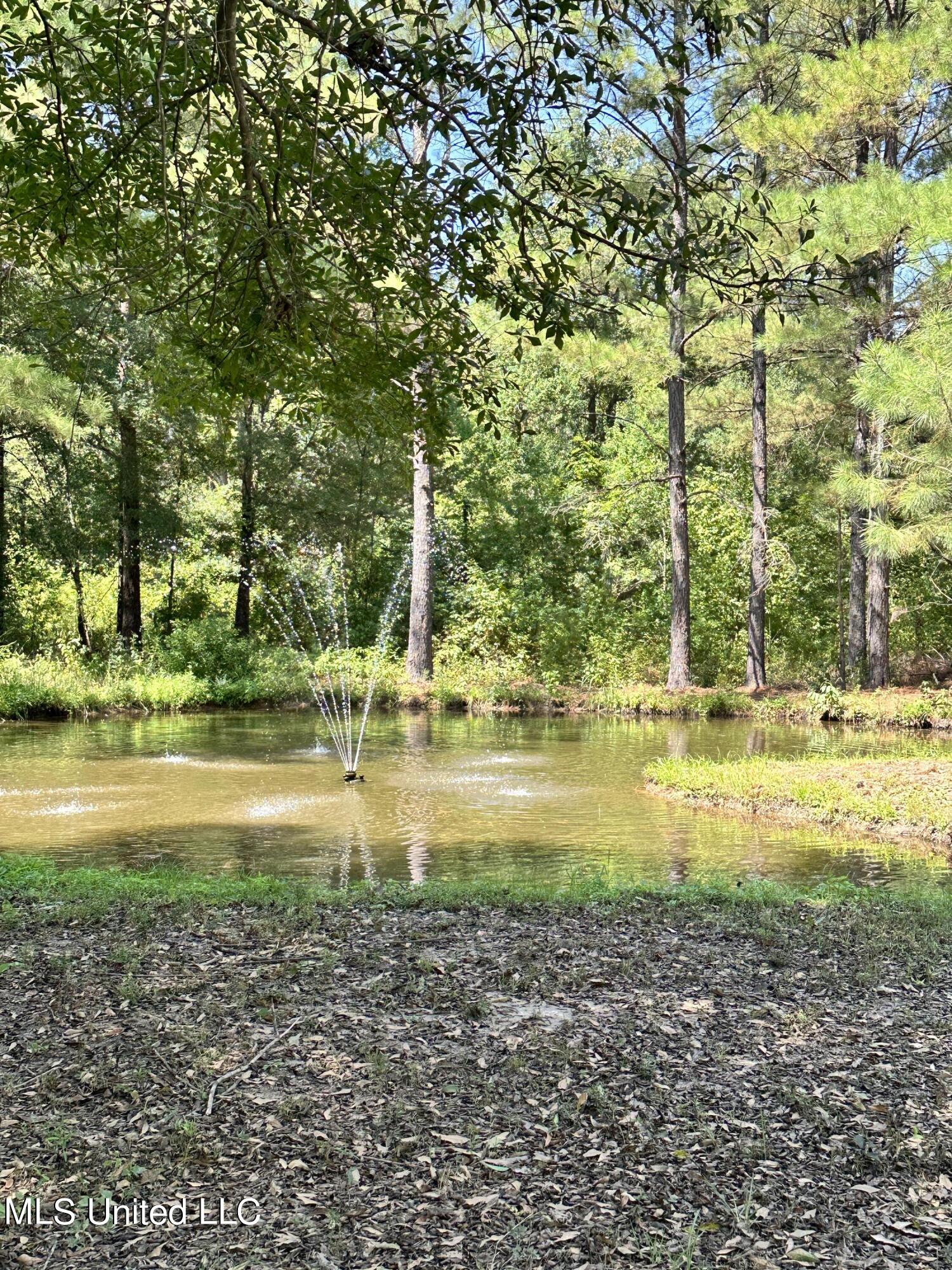 282 Highway 332 Grenada, MS 38901 - Photo 25 of 31 IMG_7754