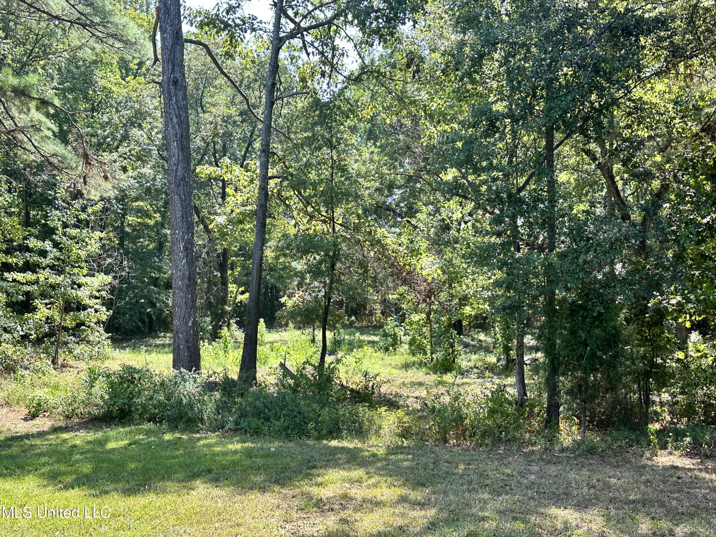 282 Highway 332 Grenada, MS 38901 - Photo 27 of 31 IMG_7778