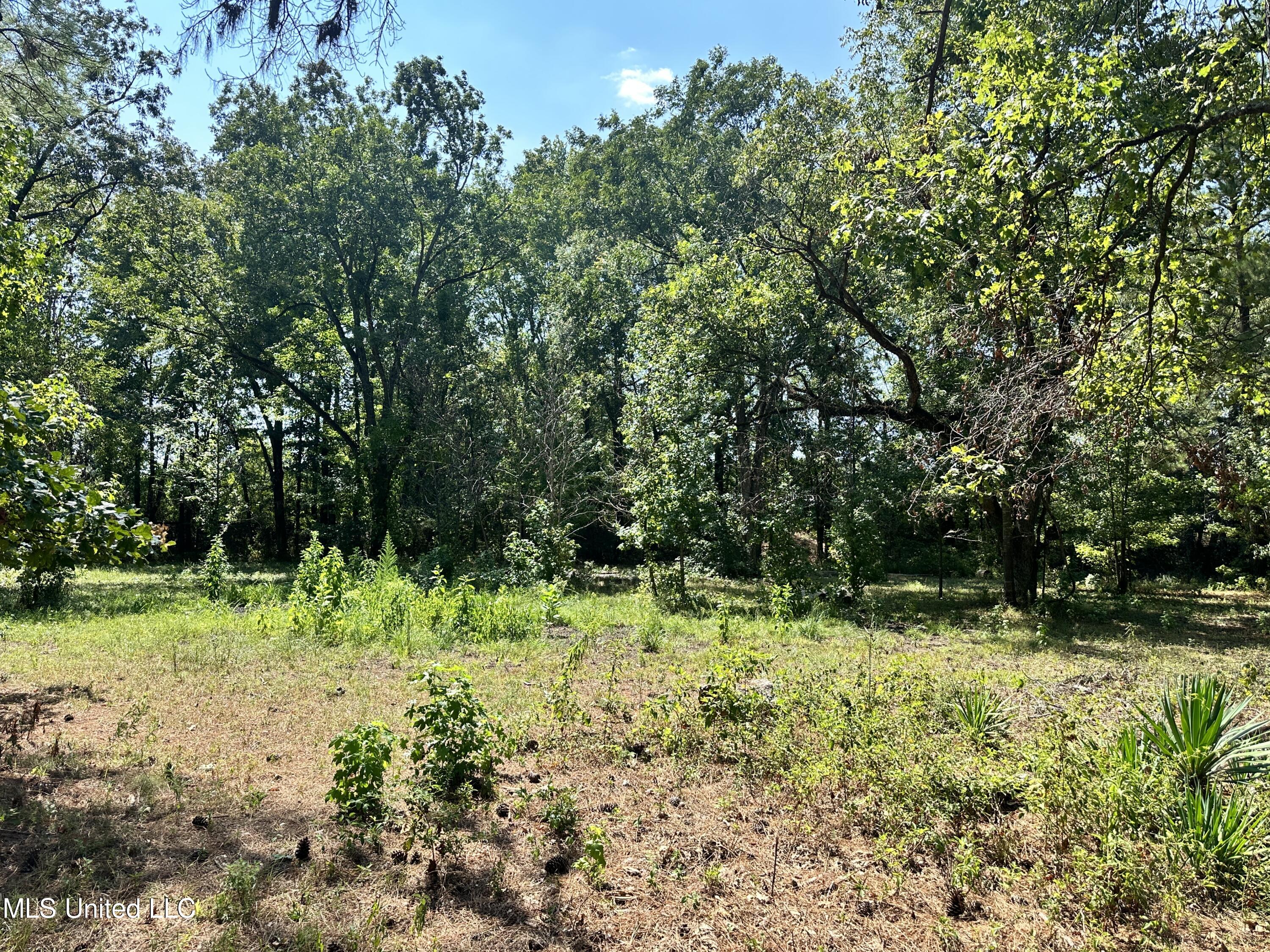 282 Highway 332 Grenada, MS 38901 - Photo 28 of 31 IMG_7779