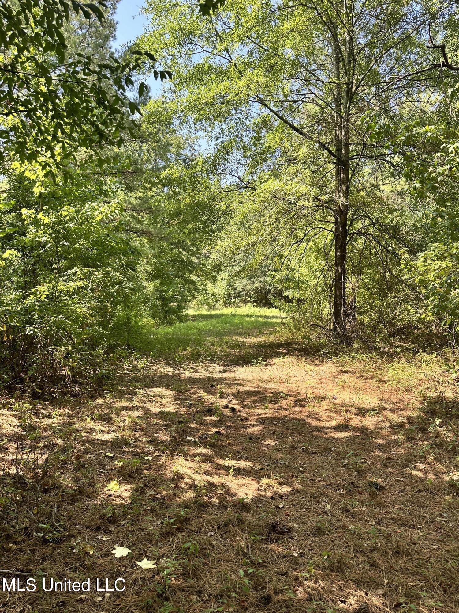 282 Highway 332 Grenada, MS 38901 - Photo 30 of 31 IMG_7783