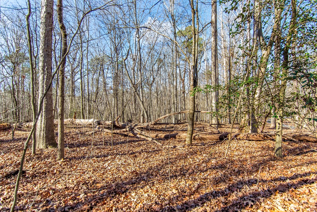 6-acres 6-acres Flat Creek Road Blue Ridge, GA 30513 - Photo 6 of 16 Gallery Image 6