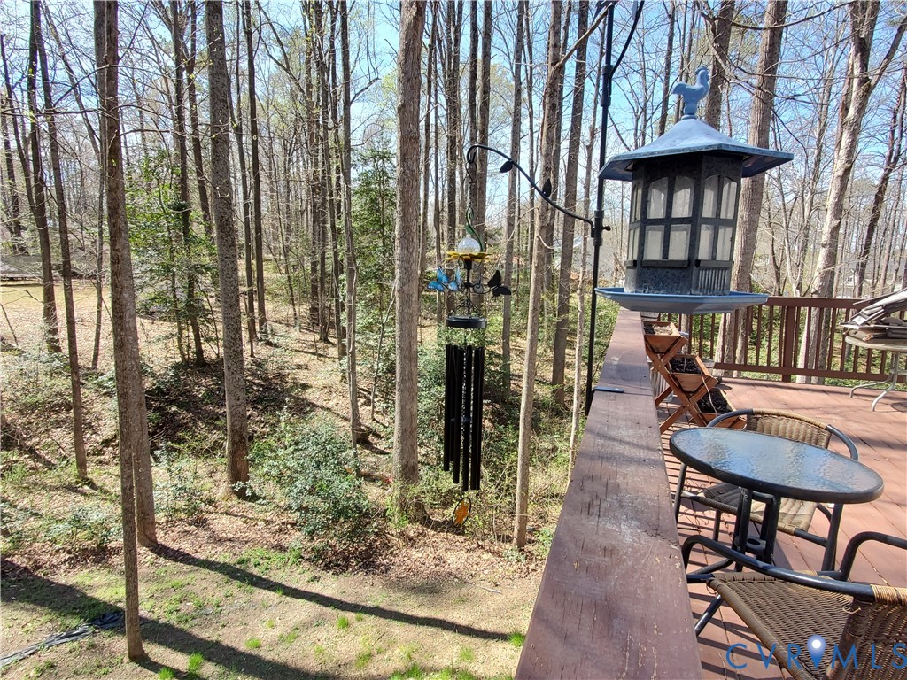 111 Ackerman Lane Ruther Glen, VA 22546 - Photo 39 of 64