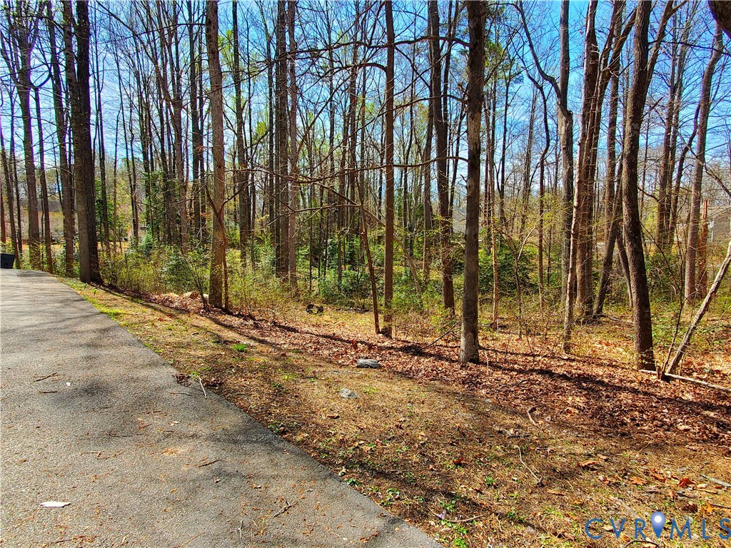 111 Ackerman Lane Ruther Glen, VA 22546 - Photo 42 of 64
