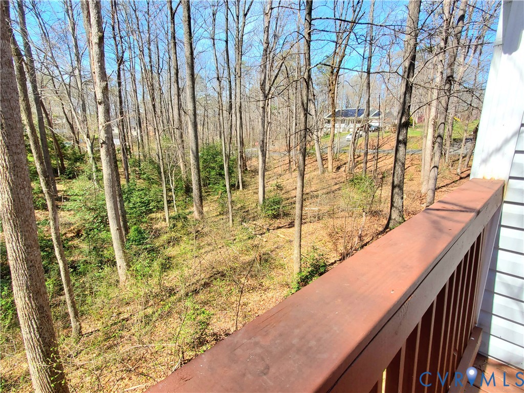 111 Ackerman Lane Ruther Glen, VA 22546 - Photo 5 of 64