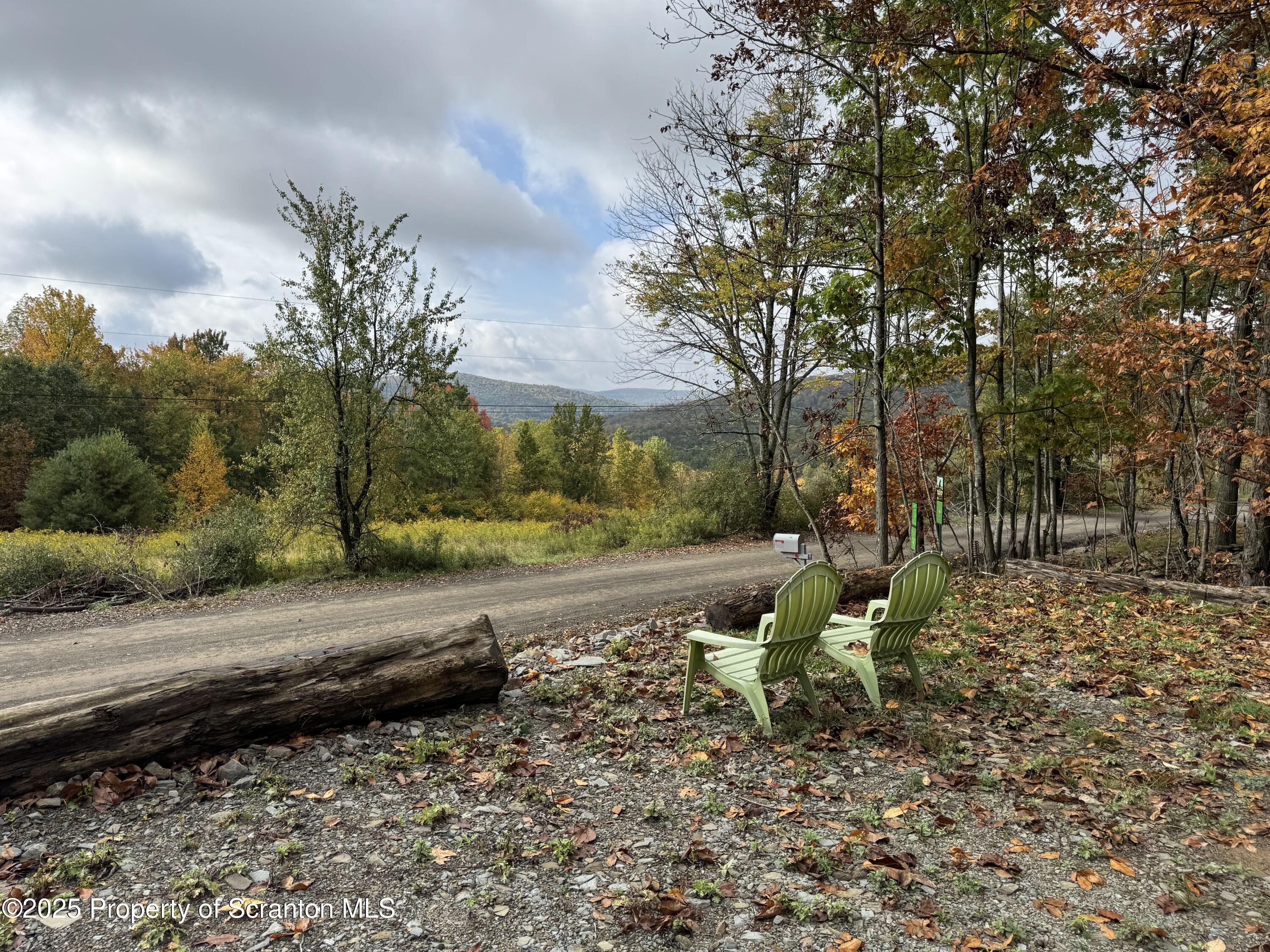 636 Darrow Road New Milford, PA 18834 - Photo 1 of 25 a view of a yard with plants and trees
