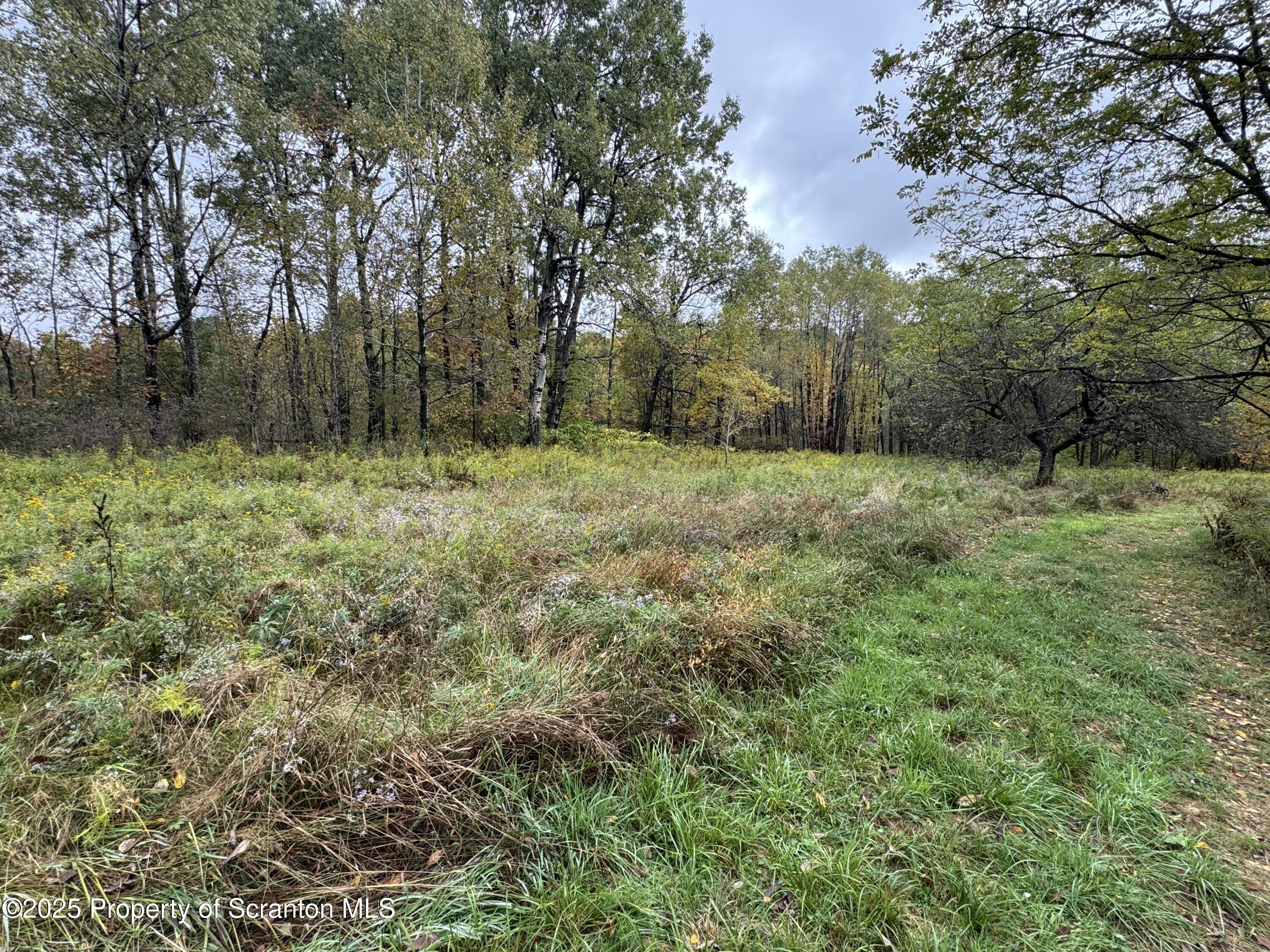 636 Darrow Road New Milford, PA 18834 - Photo 12 of 25 a view of a lush green space