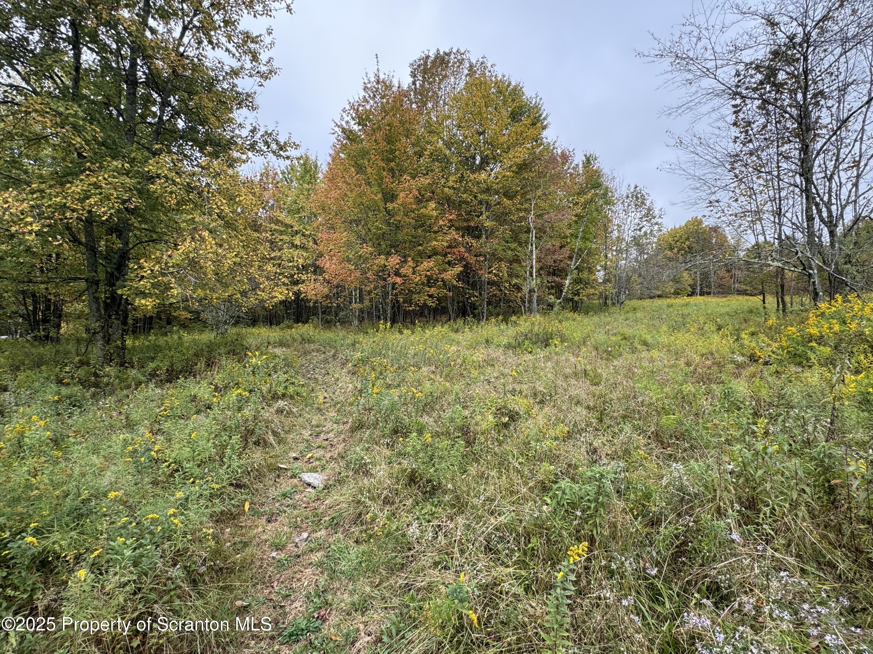 636 Darrow Road New Milford, PA 18834 - Photo 13 of 25 a view of outdoor space and yard
