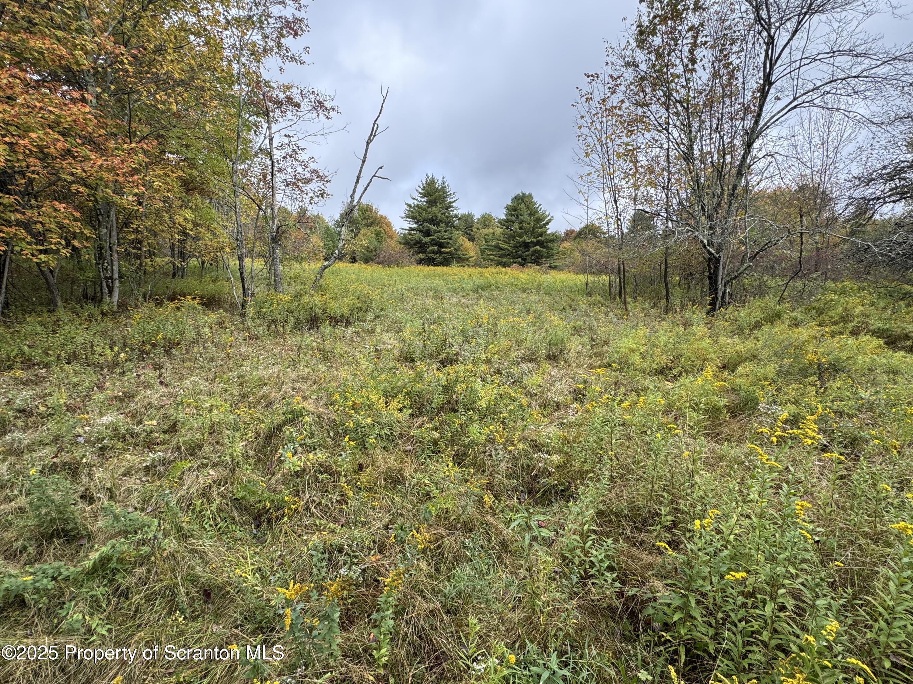 636 Darrow Road New Milford, PA 18834 - Photo 14 of 25 a view of a garden