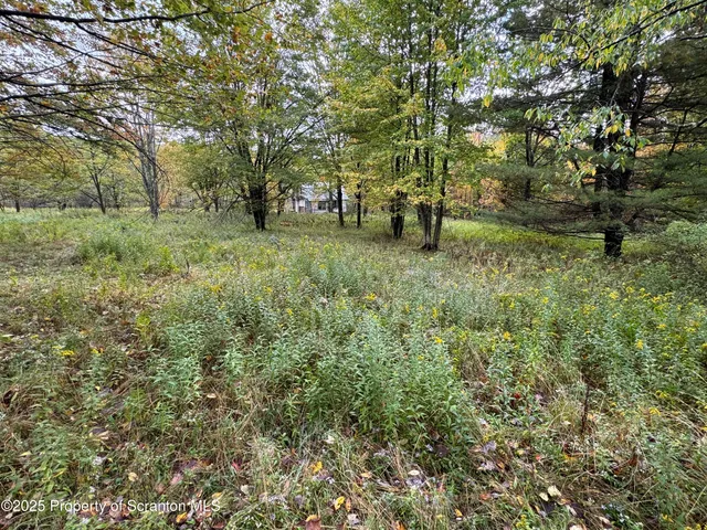 a view of outdoor space with trees all around