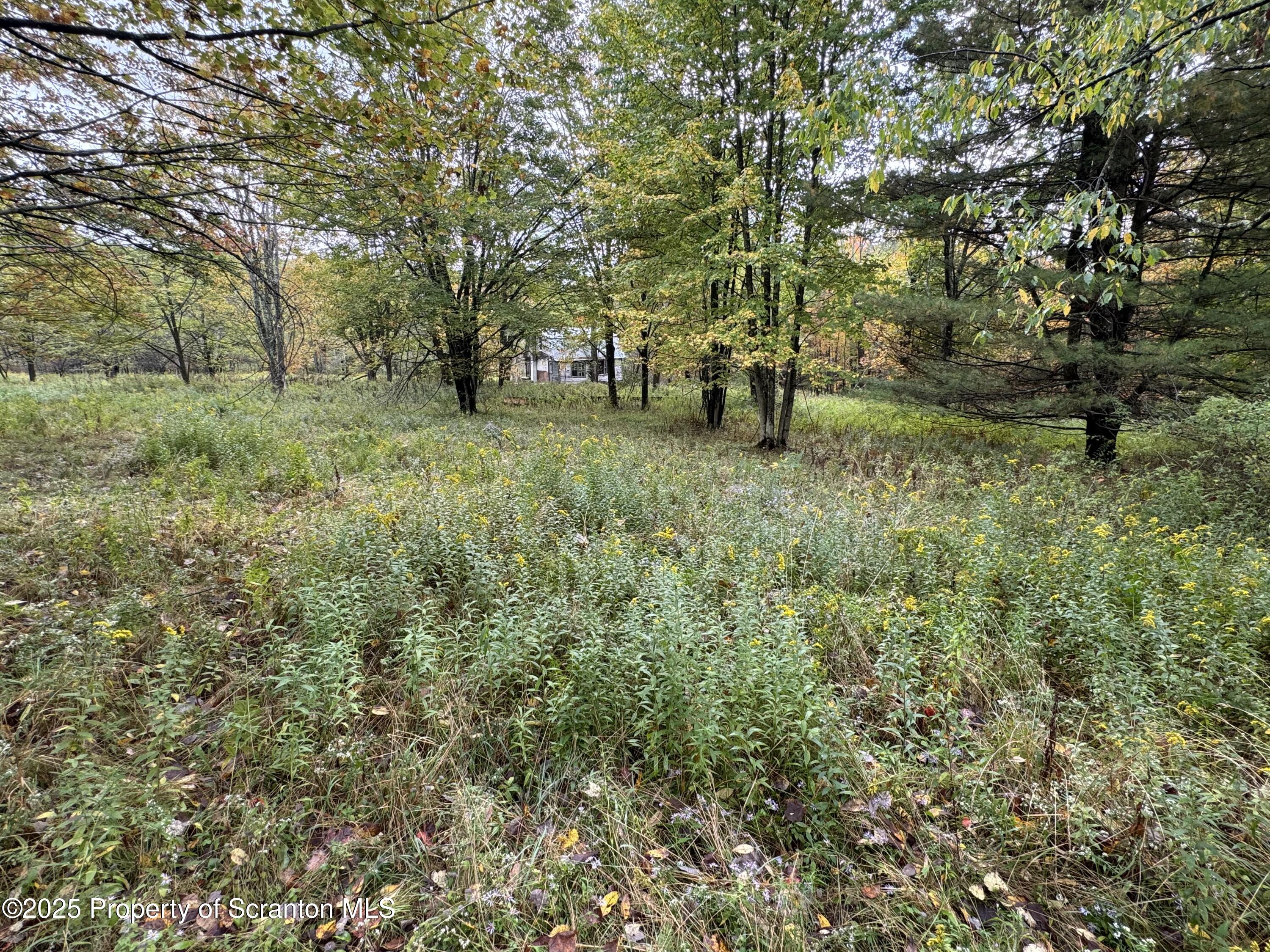 636 Darrow Road New Milford, PA 18834 - Photo 15 of 25 a view of outdoor space with trees all around