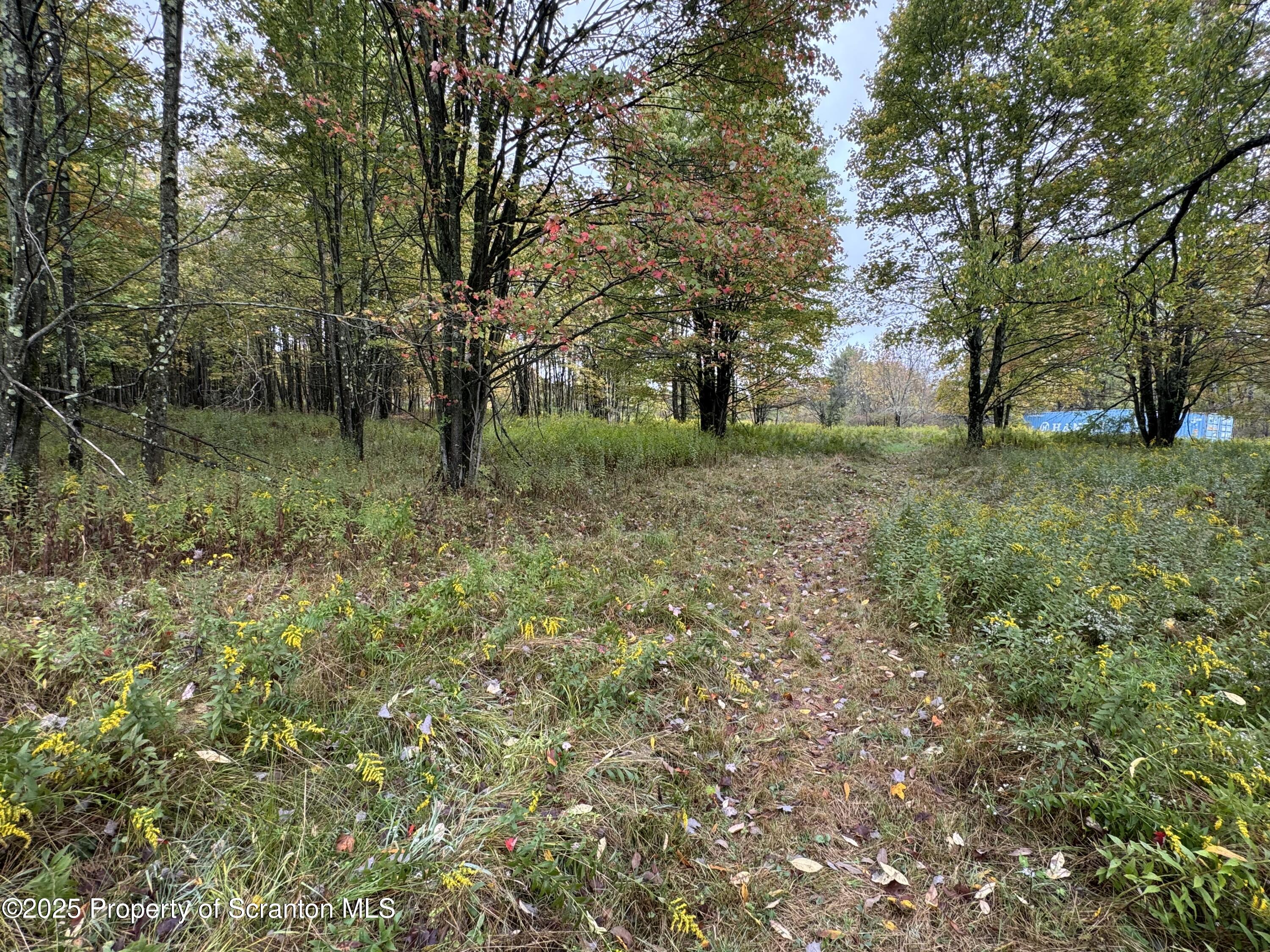 636 Darrow Road New Milford, PA 18834 - Photo 16 of 25 a view of a lush green forest